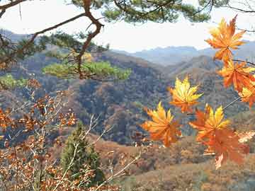 三生三世国外最新消息